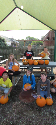 Pumpkin Harvesting 6