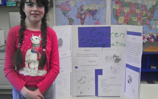 Brookeside Science Fair 2015 - 4