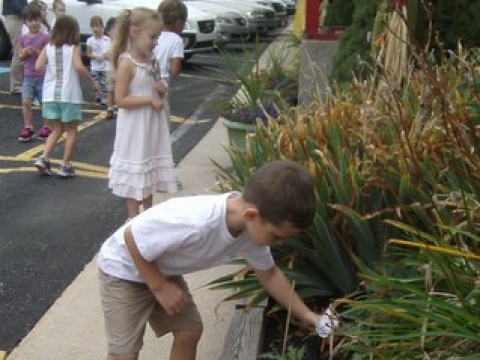 Peace Day at Brookside Montessori School