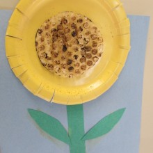 Sunflower Theme 4 – Pre K