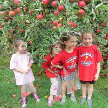 Frecon Orchard 2017 2