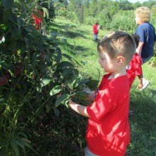 Frecon Orchard 2017 3