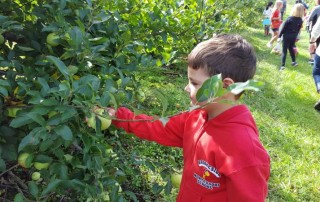 Frecon Orchards Field Trip - picking an apple