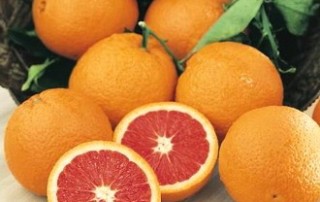 Cara Cara Navel Oranges: This Week's Healthy Snack at Brookeside by Bause Catered Events