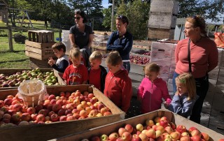 Learning About Apples (c)