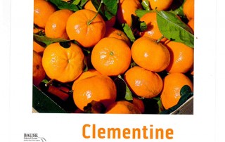 Clementine Oranges - This Week's Healthy Snack