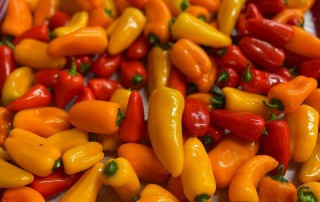 Mini Peppers - Healthy Snack