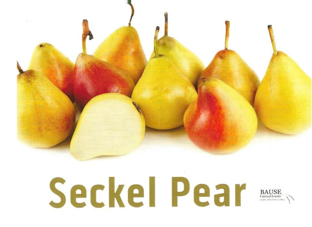 Seckel Pear Healthy Snack