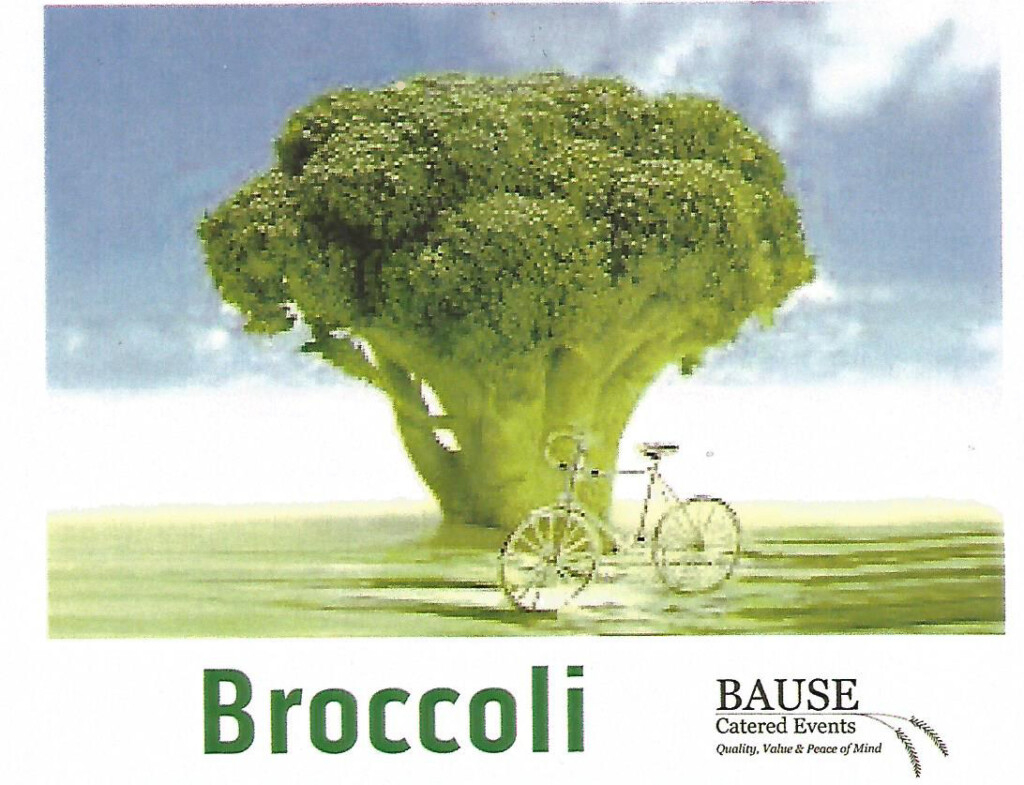 Broccoli - healthy snack