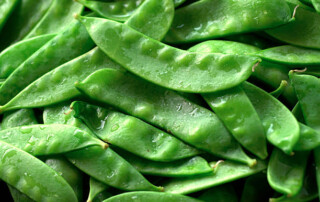 Snow Peas healthy snack at Brookeside Montessori School