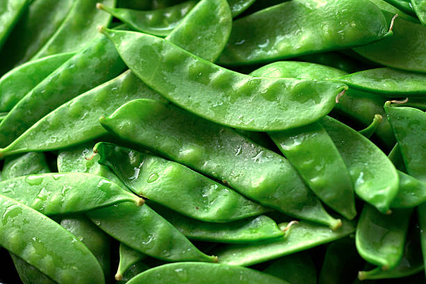 Snow Peas healthy snack at Brookeside Montessori School