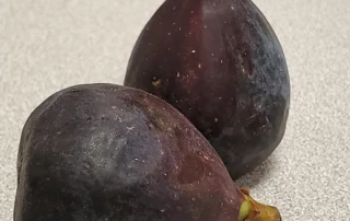 Figs Healthy Snack