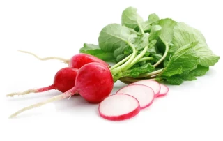 Radishes healthy snack at Brookeside Montessori School