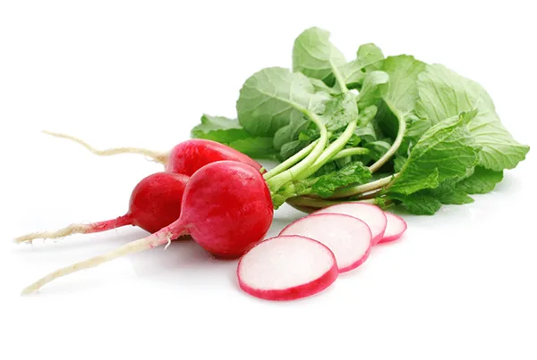 Radishes healthy snack at Brookeside Montessori School