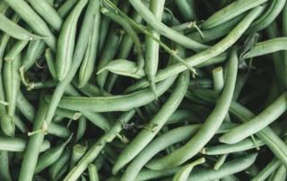 Green Beans photo