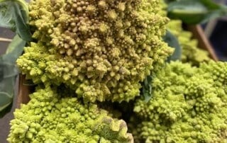 Romanesco healthy snack