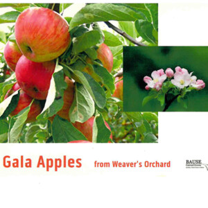 Photo of Gala Apples
