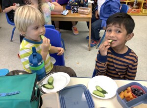 Crunchy Cucumbers!